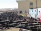 تشییع و تدفین شهید گمنام در آموزشکده فنی رازی